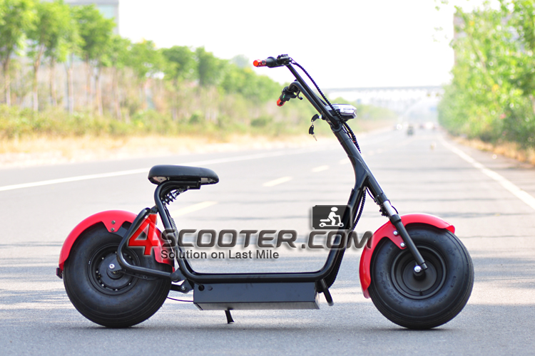 2016 Newest product citycoco electric scooter